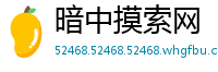 暗中摸索网